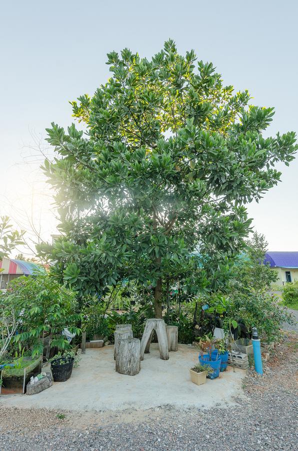 Ariya Garden Home Чумфон Екстериор снимка